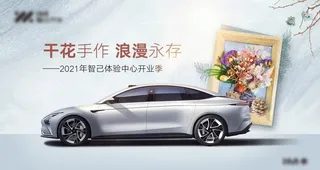 干花diy汽车活动图片