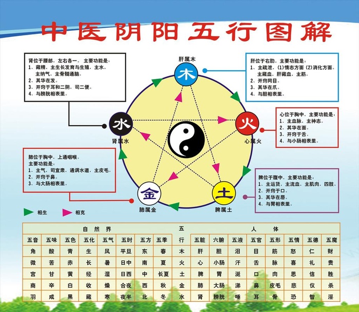 中医阴阳五行图解图片