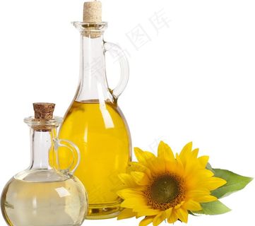 葵花籽油图片
