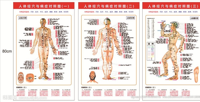 经络,病症,对照图,常用,经脉,CDR,,设计,广cdr矢量模版下载