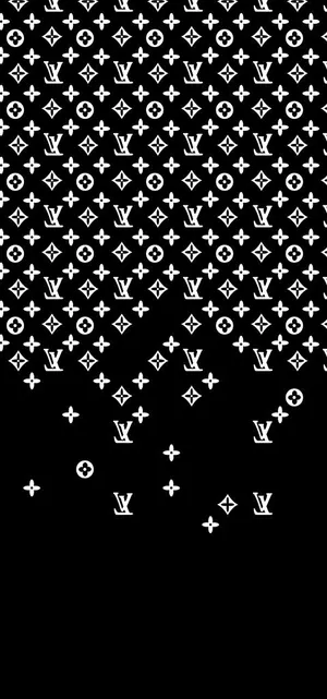 LV  大票 数码印花图片