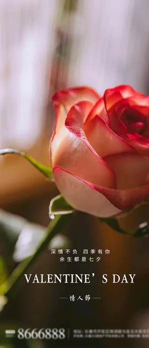 情人节图片
