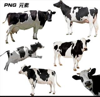 奶牛免扣元素图片