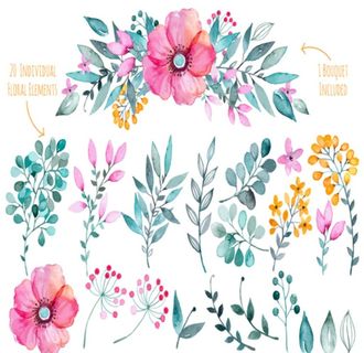 森系水彩手绘插画花鸟花卉花草叶图片