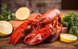 大龙虾图片