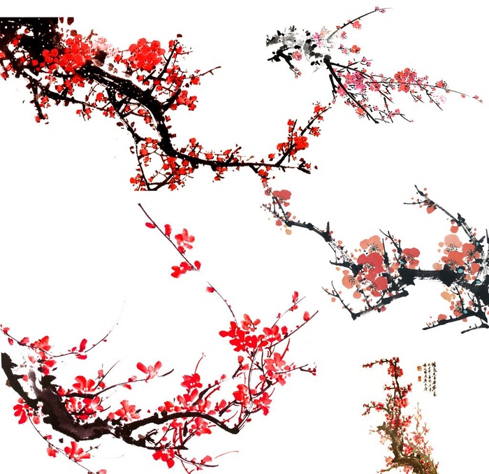 梅花图片(2362x2362)psd模版下载