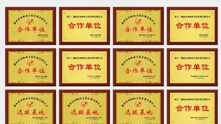 奖牌  合作单位图片