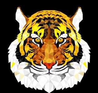 老虎头像图片