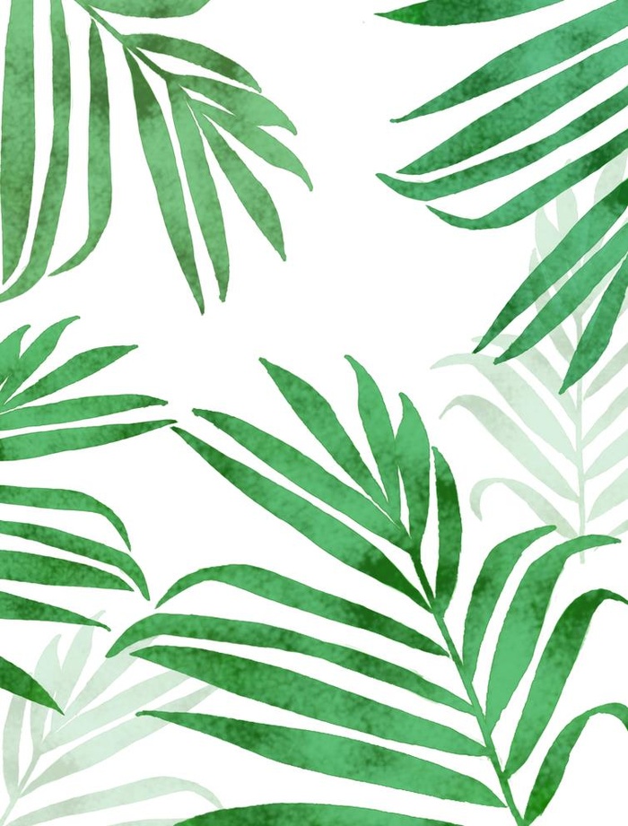 绿植 手绘 海报背景 大图图片