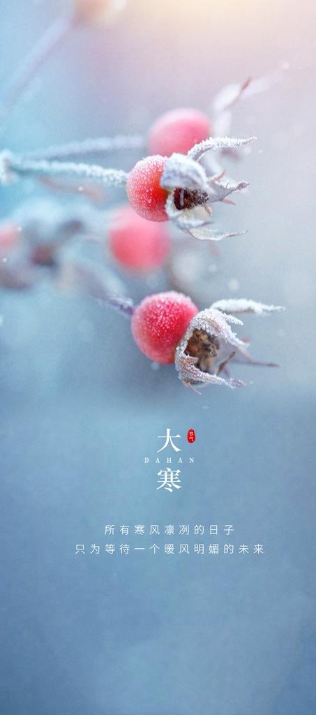 大寒小寒冬至海报图片(1063x2244)psd模版下载