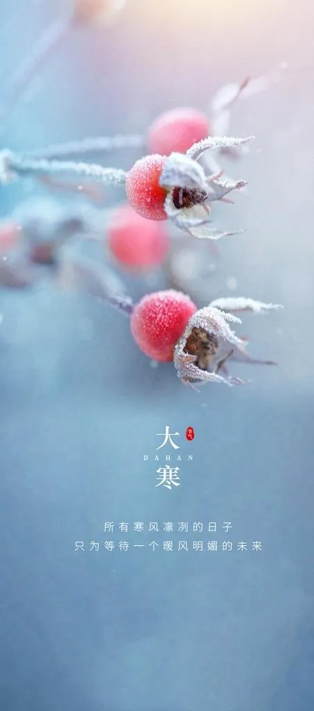 大寒小寒冬至海报图片(1063x2244)psd模版下载