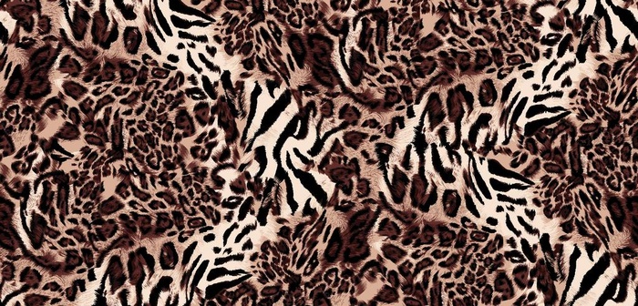 豹纹图片