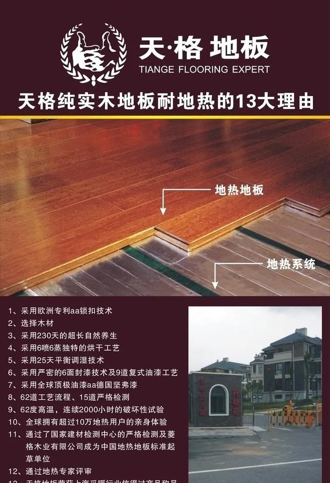 天格海报图片cdr矢量模版下载