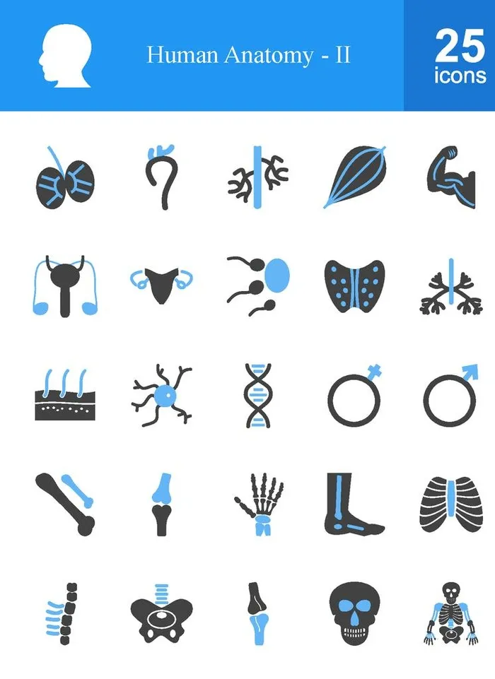 人体保健图标图片ai矢量模版下载