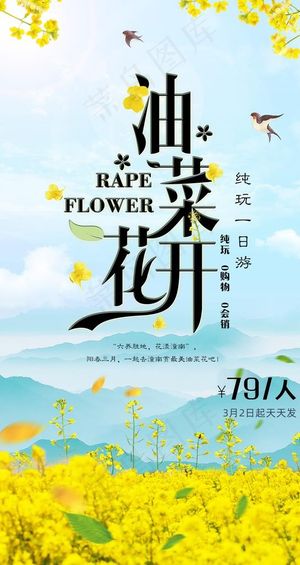 油菜花开图片