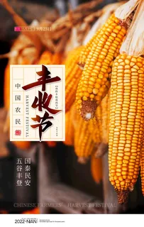 丰收节图片