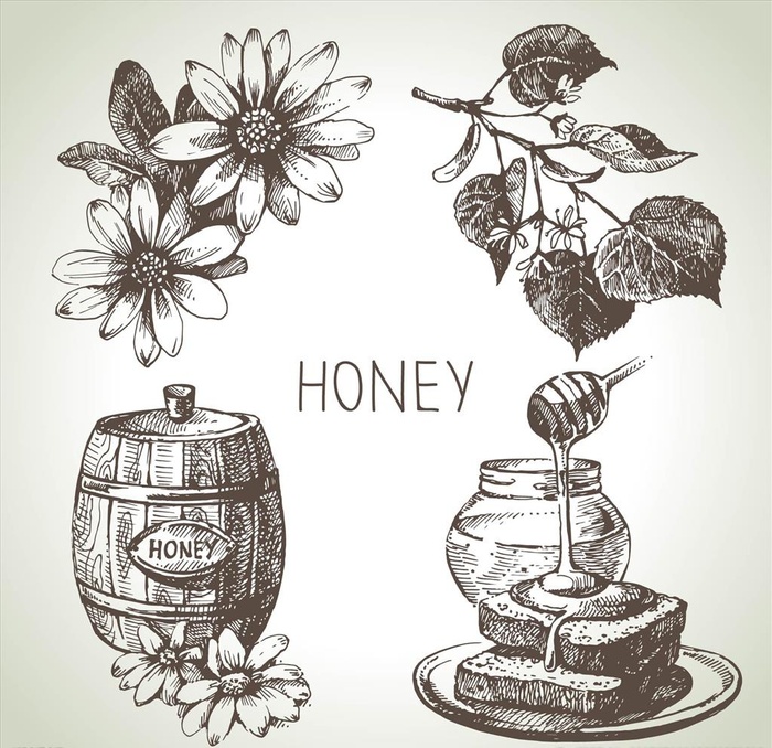 手绘花朵木桶蜂蜜矢量图下载图片