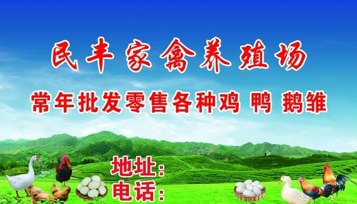 养殖场图片(1075x650)psd模版下载