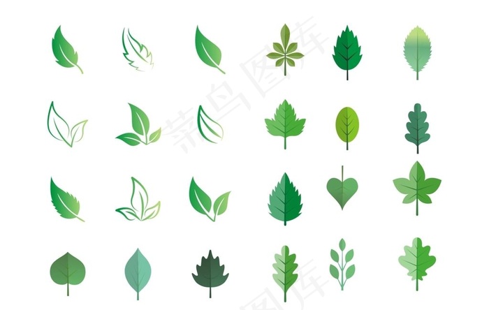 绿叶 树叶图片