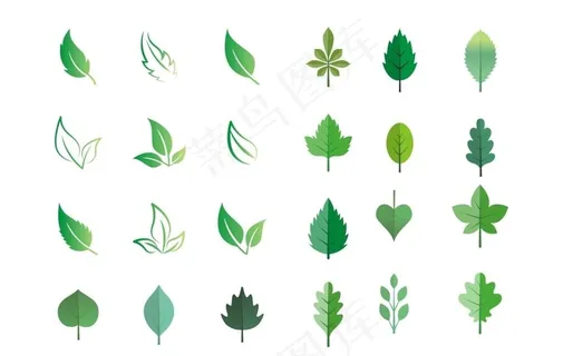 绿叶 树叶图片