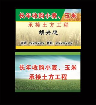 收玉米名片图片