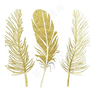 金色羽毛图片