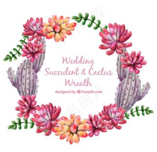 水彩多肉植物图片