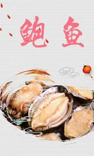 鲍鱼图片 鲍鱼图片