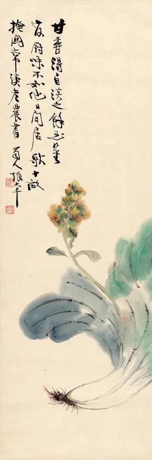 白菜开花图图片