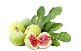 无花果  图片