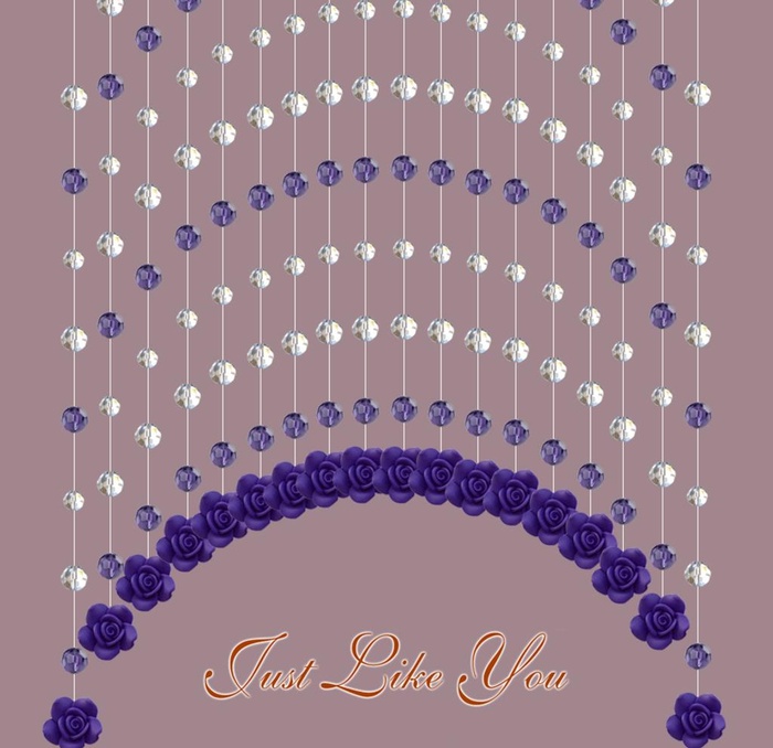 紫色玫瑰花珠帘图片