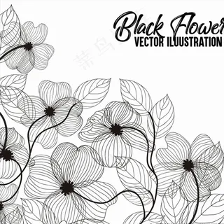 黑白花朵背景图片