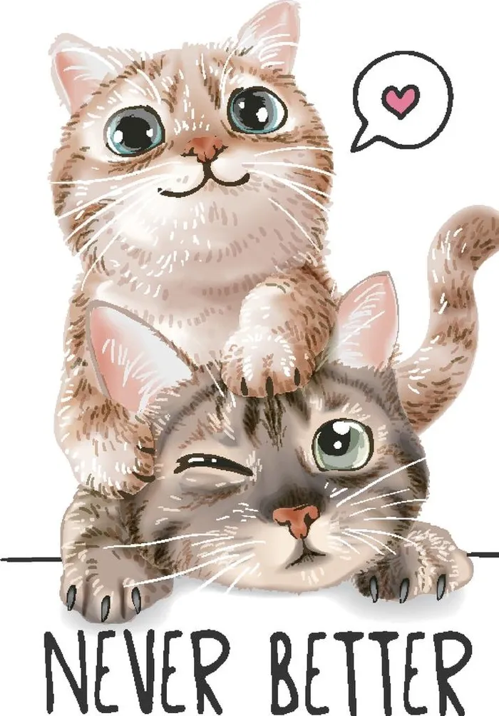 猫图片