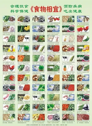 食物相宜图片