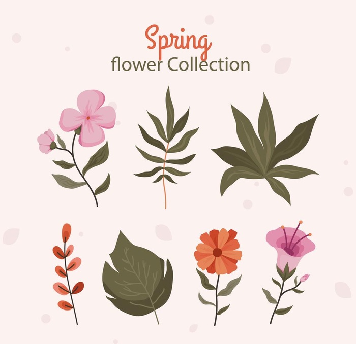 各种花朵手绘图片