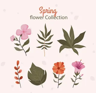 各种花朵手绘图片