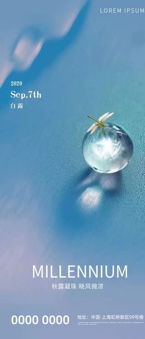 房地产白露 海报 图片