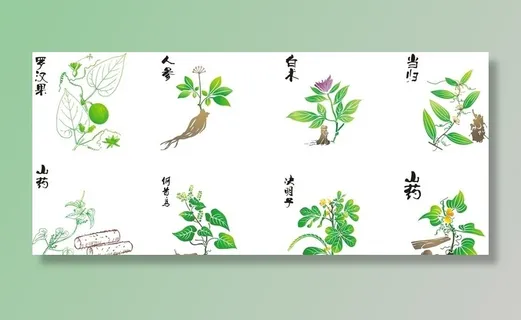 中草药图片 中草药图片