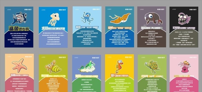 海洋动物科普图片
