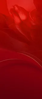红色背景图片