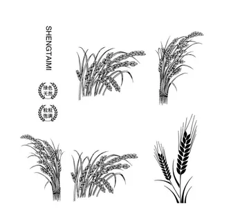 稻谷小麦 麦穗 矢量 AI图片