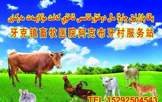 畜牧服务站图片