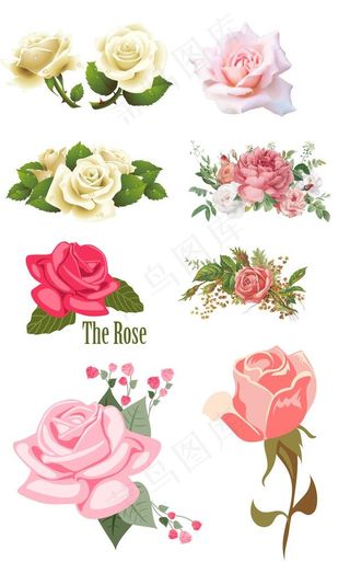 卡通玫瑰 卡通玫瑰花 玫瑰花图片