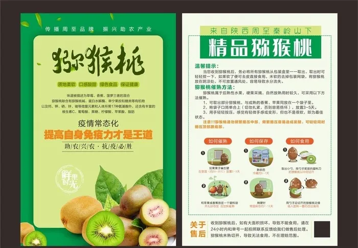 猕猴桃彩页图片cdr矢量模版下载