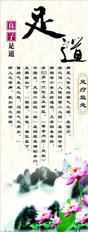 良子足道展架图片