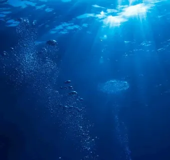 海洋图片 海洋图片