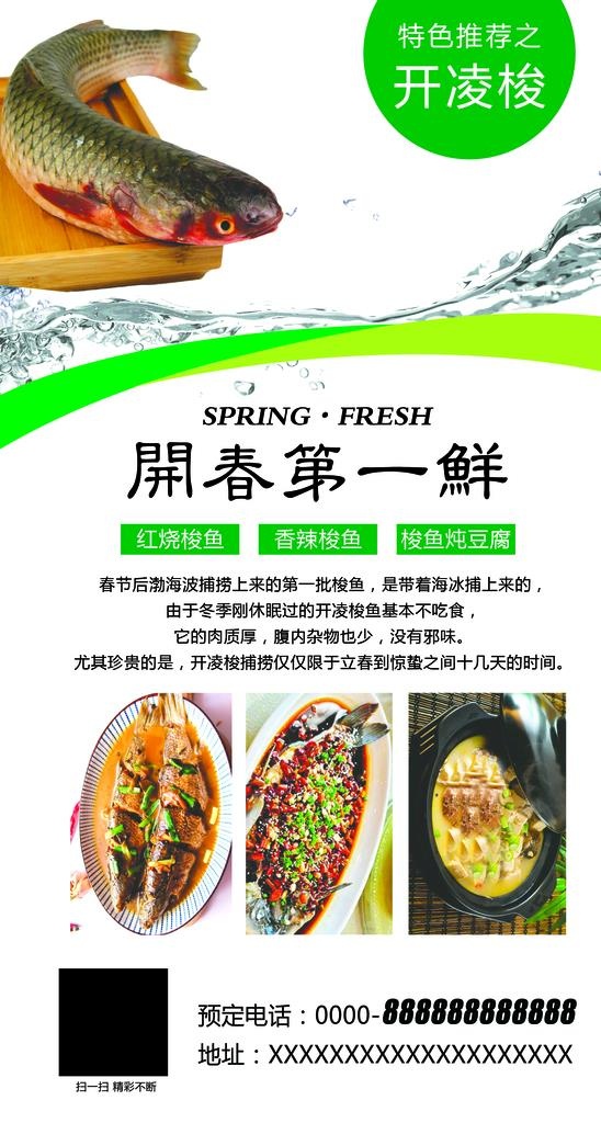 开春第一鲜  梭鱼   红烧梭图片(2008x3543)psd模版下载
