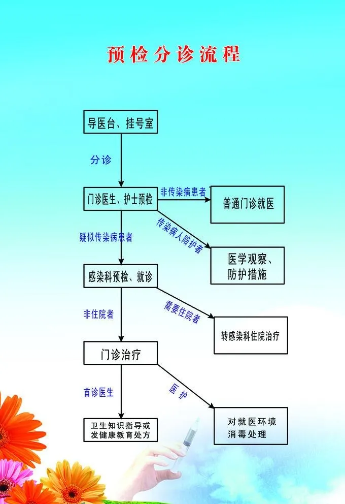 预检分诊流程海报图片(2352x3543)psd模版下载