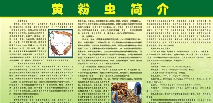 黄粉虫图片cdr矢量模版下载