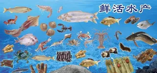 鲜活水产图片